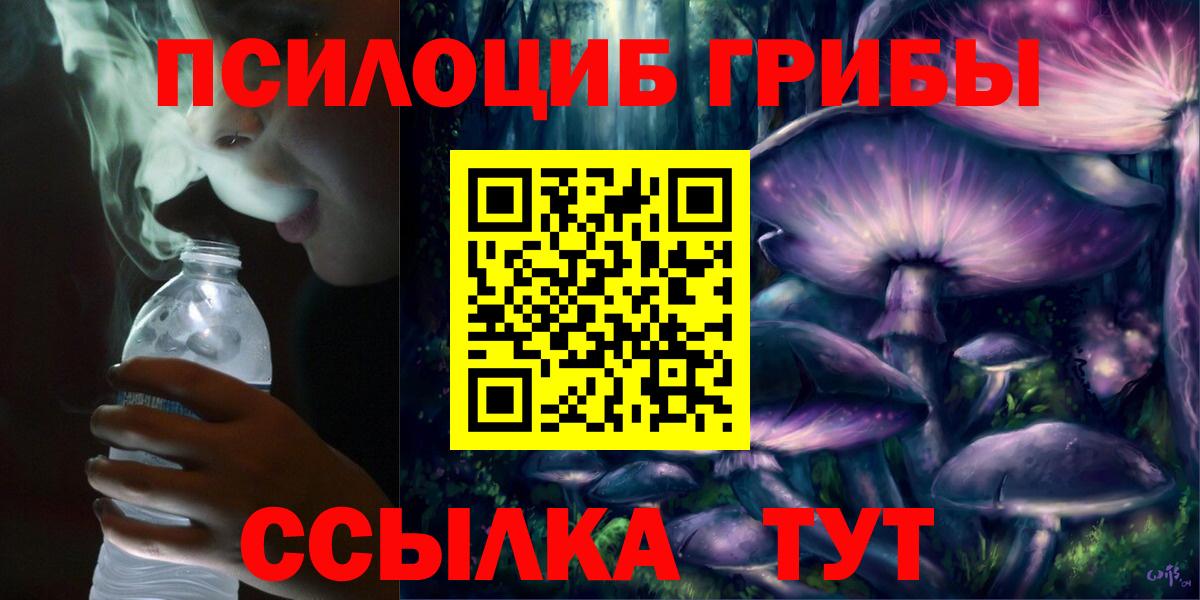 Галлюциногенные грибы Psilocybine cubensis  Вход с VPN  Галлюциногенные грибы Magic Shrooms  Каменка 