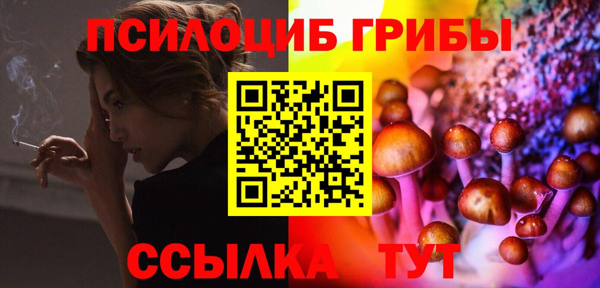 Псилоцибиновые грибы ЛСД Каменка